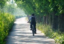 Marin gravel czy MTB: wybór na asfalt i teren